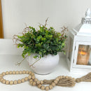 ARRANJO  BOLINHA NO VASO DE CERÂMICA BRANCO COM VERDINHOS 25AX26L/CM