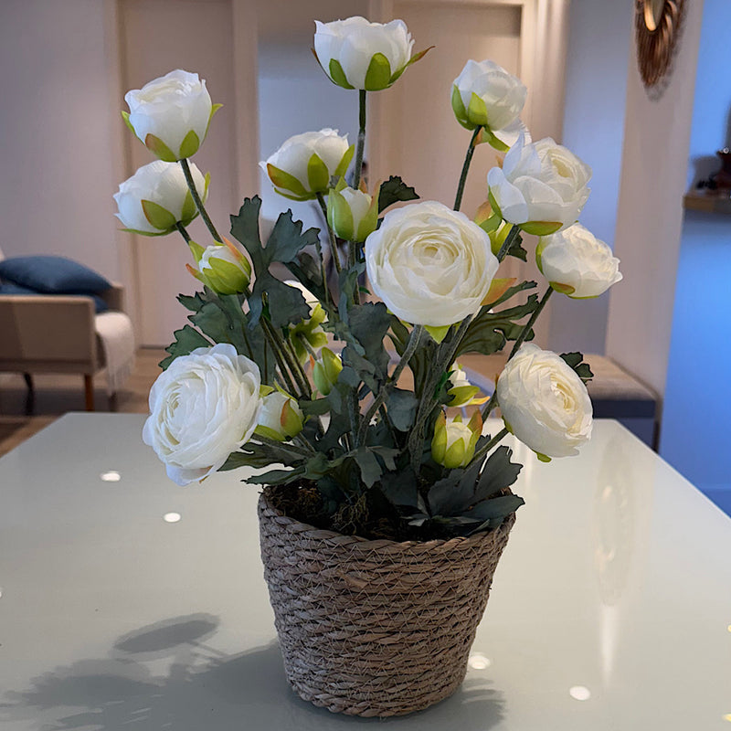 ARRANJO DE CAMÉLIAS BRANCAS NO CACHEPÔ DE PALHA NATURAL 43AX33L/CM