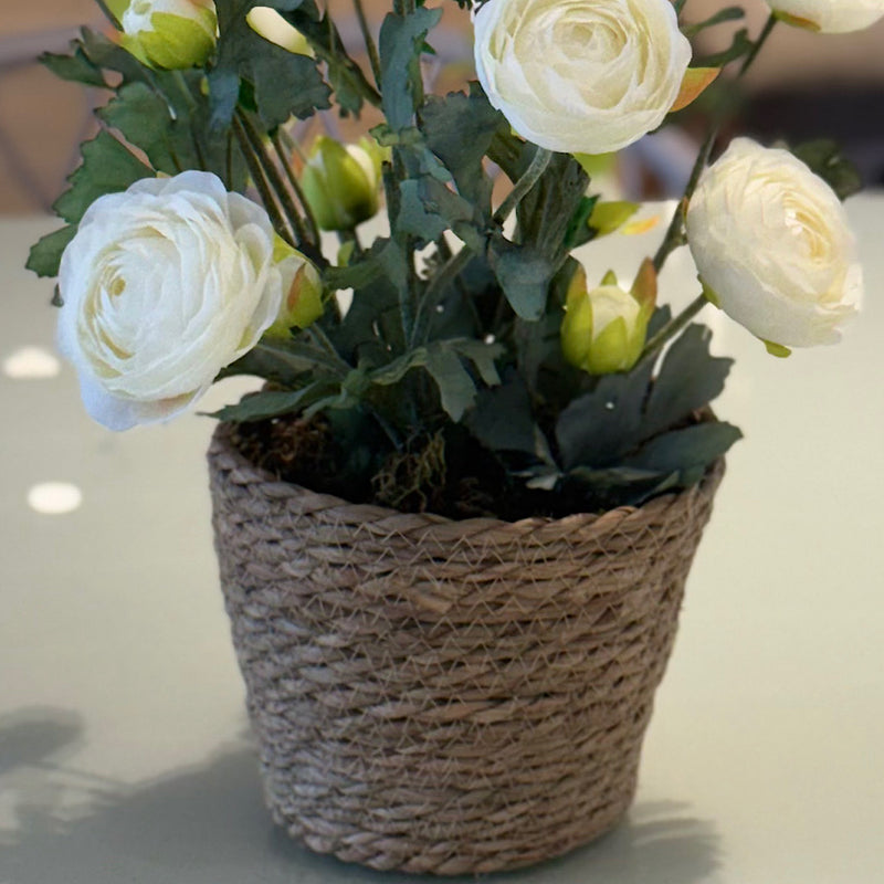 ARRANJO DE CAMÉLIAS BRANCAS NO CACHEPÔ DE PALHA NATURAL 43AX33L/CM