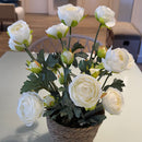 ARRANJO DE CAMÉLIAS BRANCAS NO CACHEPÔ DE PALHA NATURAL 43AX33L/CM