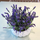 ARRANJO DE LAVANDAS ANAÍ 37AX40L/CM