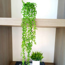 ARRANJO MINI DE CERÂMICA QUADRADO BRANCO COM PENDENTE 7AX46L/CM