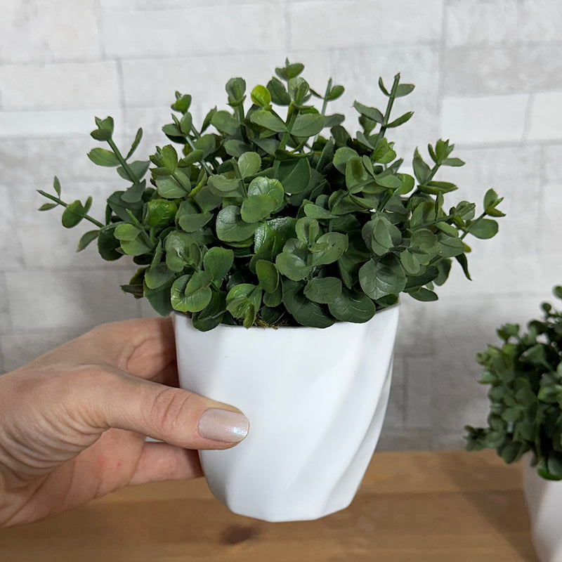 ARRANJO MINI KÁTIA COM VERDINHO ESCURO 15AX15L/CM