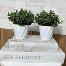 ARRANJO MINI KÁTIA COM VERDINHO ESCURO 15AX15L/CM