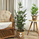 CESTO FER EM PALHA NATURAL COM ÁRVORE DE BAMBU E CORAÇÕES 1,10AX47L/CM