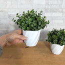 COMBO COM 2 ARRANJOS KÁTIA COM VERDINHO ESCURO