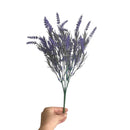 GALHO DE LAVANDA 38AX15L/CM