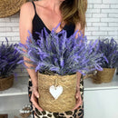 GALHO DE LAVANDA 38AX15L/CM