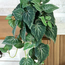 PENDENTE IARA DE FOLHAGEM VERDE NO CACHEPO DE CERÂMICA 60AX25L/CM