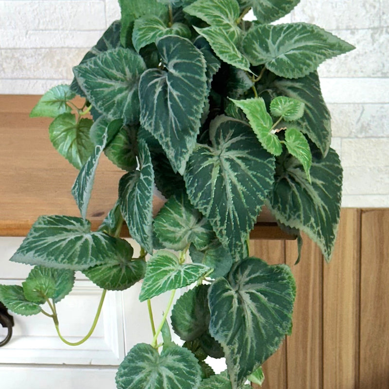 PENDENTE IARA DE FOLHAGEM VERDE NO CACHEPO DE CERÂMICA 60AX25L/CM