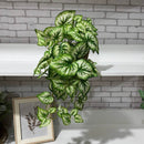 PENDENTE MAÍRA FOLHAGEM MESCLADA NO CACHEPÔ DE PALHA 60AX25L/CM