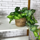 PENDENTE SOFIA COM FOLHAGENS VERDES NO CACHEPÔ DE PALHA 37AX25L/CM