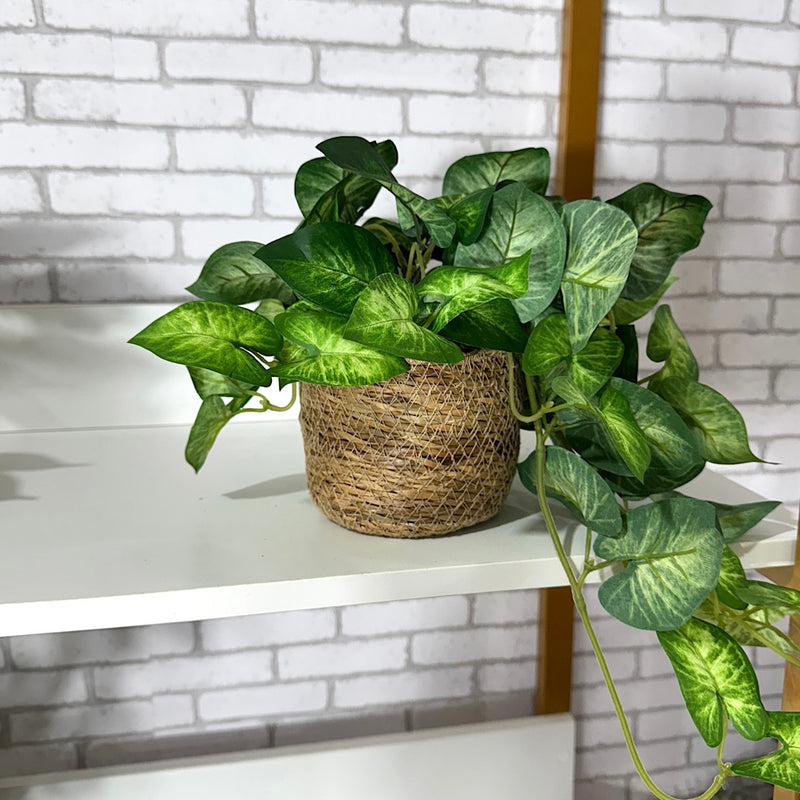 PENDENTE SOFIA COM FOLHAGENS VERDES NO CACHEPÔ DE PALHA 37AX25L/CM