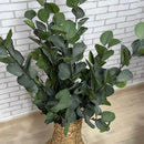 VASO DE CHÃO EM PALHA NATURAL M COM HASTES EUCALIPTOS 1,05AX40L/CM