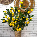 VASO DE PALHA NATURAL M COM HASTES DE LIMÃO SICILIANO 1,00 AX34L/CM